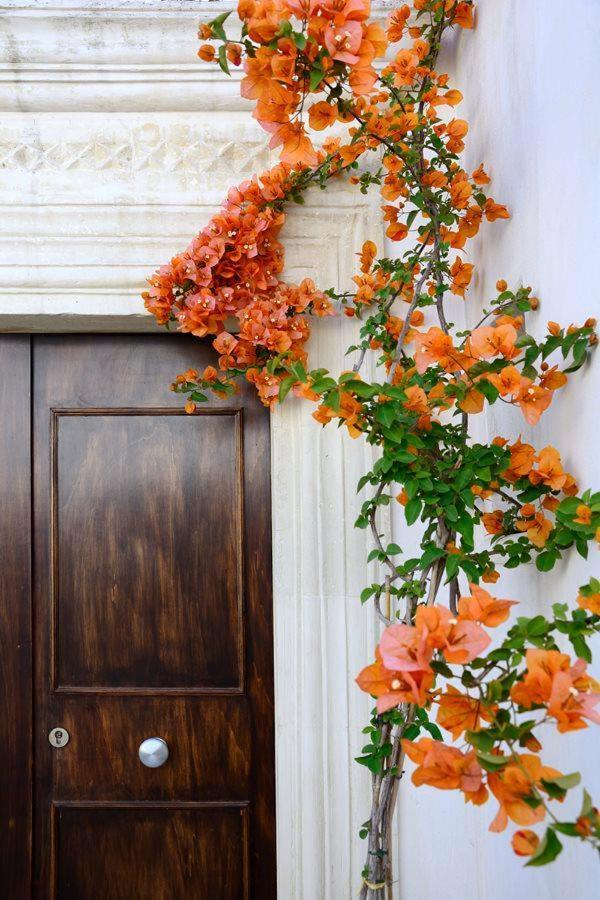 グロッターリエ Il Giardino Bed & Breakfast エクステリア 写真